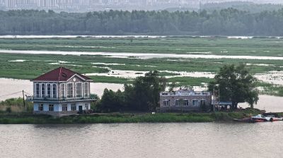 清晨的哈尔滨外滩湿地