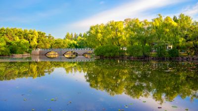 太阳岛夏季风光太阳岛掠影