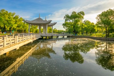 太阳岛夏季风光太阳岛掠影