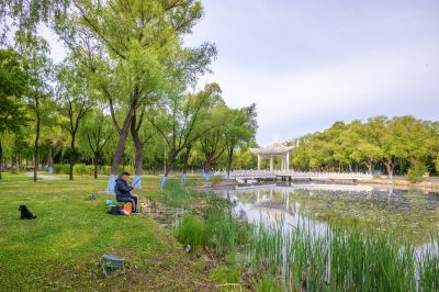 太阳岛掠影