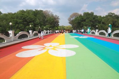 2025年6月4日哈尔滨太阳岛