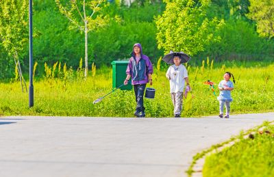 外滩湿地夏日