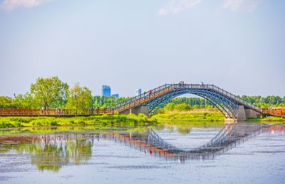 外滩湿地夏日