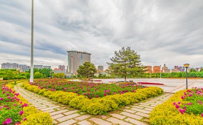 市政府广场芍药花开