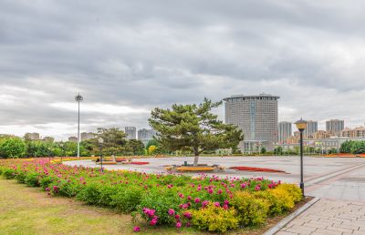 市政府广场芍药花开