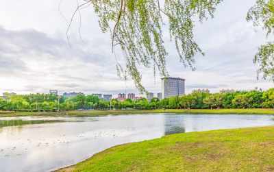 市政府广场