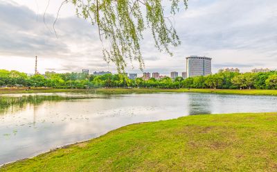 市政府广场
