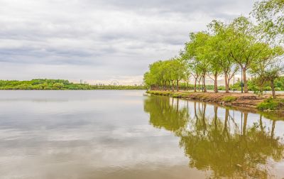 一湖三岛湿地