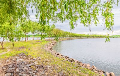 一湖三岛湿地