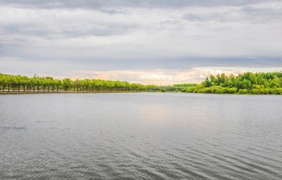 一湖三岛湿地