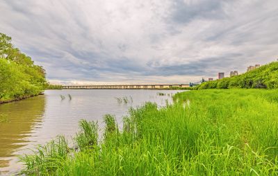 一湖三岛湿地