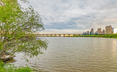 一湖三岛湿地