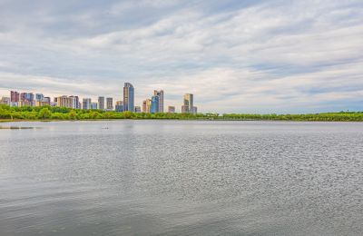 一湖三岛湿地