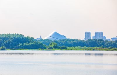 太阳岛湿地 