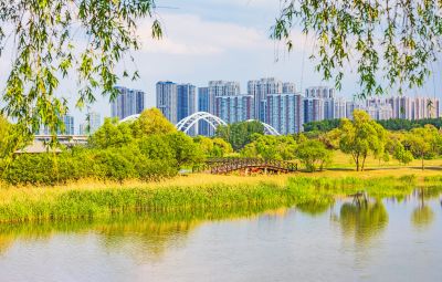 太阳岛湿地 