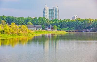 太阳岛湿地 