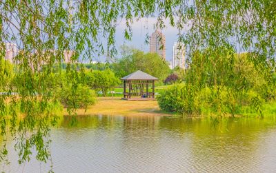 太阳岛湿地 