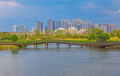 太阳岛湿地 