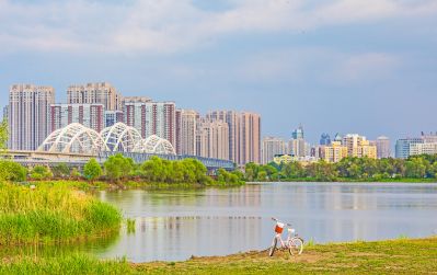 太阳岛湿地 