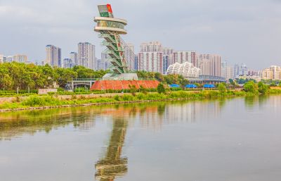 太阳岛湿地 