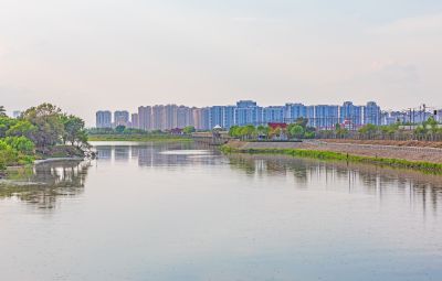 太阳岛湿地 