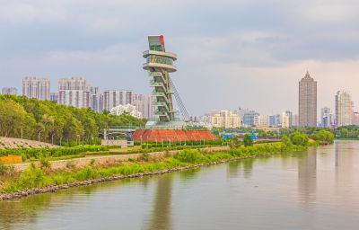 太阳岛湿地 