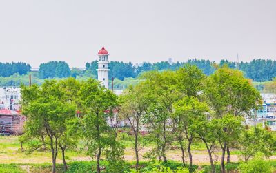 太阳岛湿地 