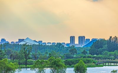 太阳岛湿地 