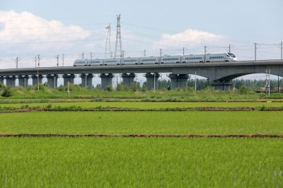 坐着高铁看稻田