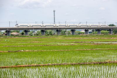 坐着高铁看稻田