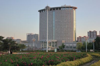 芍药花