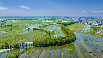 滨江湿地