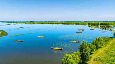 滨江湿地
