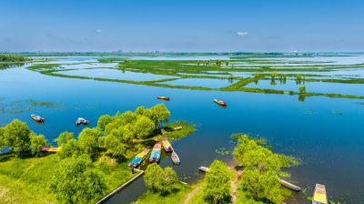 滨江湿地