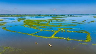 滨江湿地