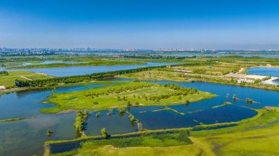 滨江湿地