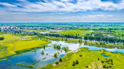 滨江湿地