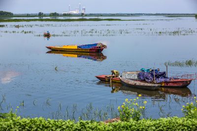 道外区民主镇湿地风光 渔船