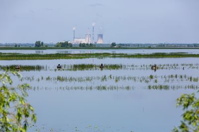 道外区民主镇湿地风光 渔船