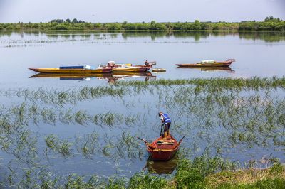 道外区民主镇湿地风光 渔船