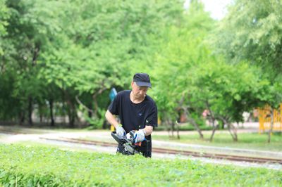 哈尔滨儿童公园芍药花