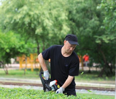 哈尔滨儿童公园芍药花