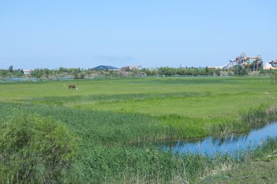 哈尔滨席家屯湿地