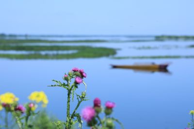 哈尔滨席家屯湿地