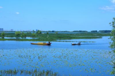 哈尔滨席家屯湿地