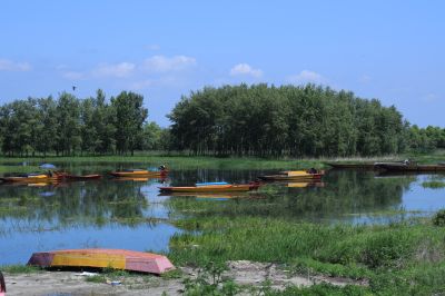 哈尔滨席家屯湿地