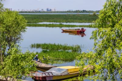 道外民主湿地景美
