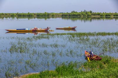 道外民主湿地景美