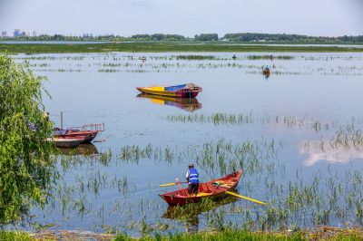 道外民主湿地景美