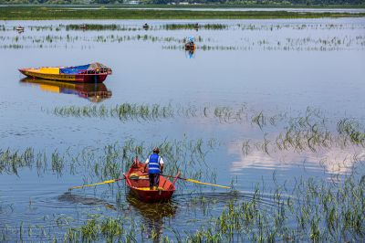 道外民主湿地景美